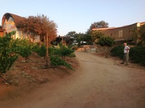 SOL Y BARRO VINICOLA