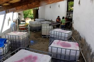 SOL Y BARRO VINICOLA